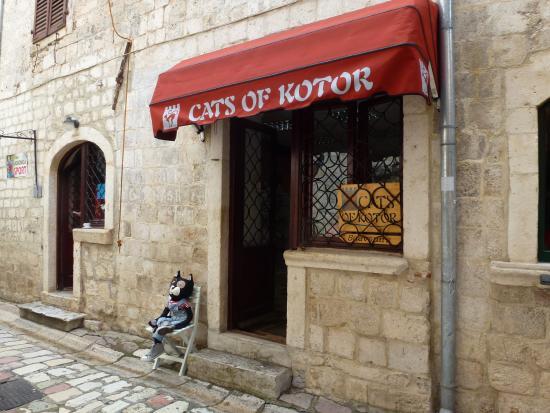 Cats of Kotor Souvenirs and Handicraft
